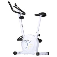 Magnetický rotoped ONE Fitness RM8740 bílý