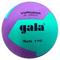 Míč volejbal SOFT 170g GALA BV5685S - fialový