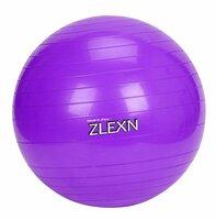 Gymnastický míč Yoga Ball Sedco 65 cm - fialový