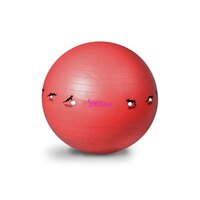 Gymnastický míč SHULAN YOGA BALL 65 cm - modrý